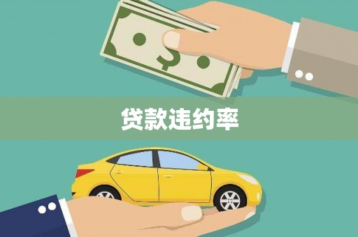 金溪贷款违约率