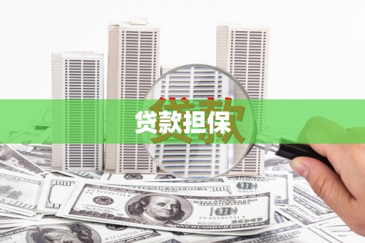 金溪贷款担保