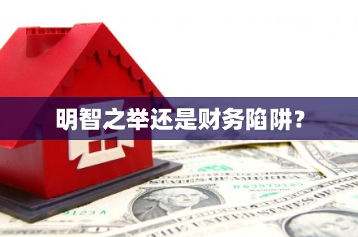 金溪明智之举还是财务陷阱？