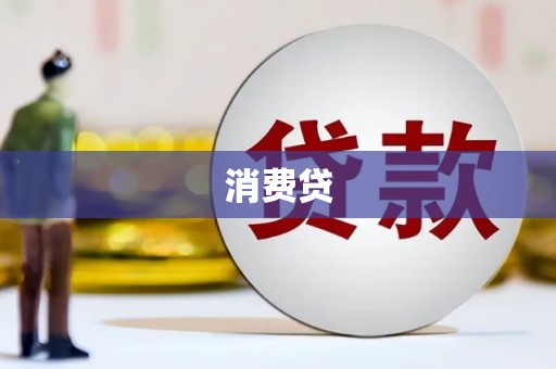 金溪消费贷