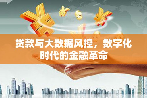 金溪贷款与大数据风控，数字化时代的金融革命