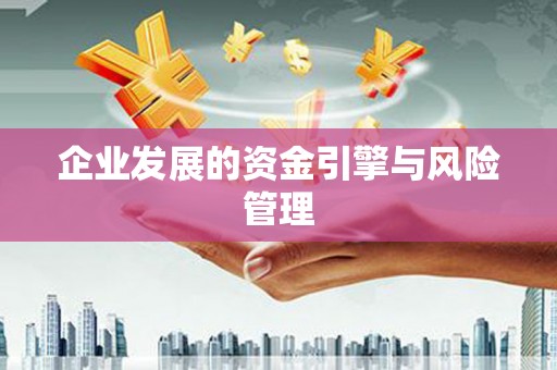 金溪企业发展的资金引擎与风险管理