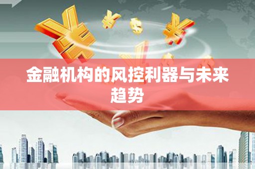 金溪金融机构的风控利器与未来趋势