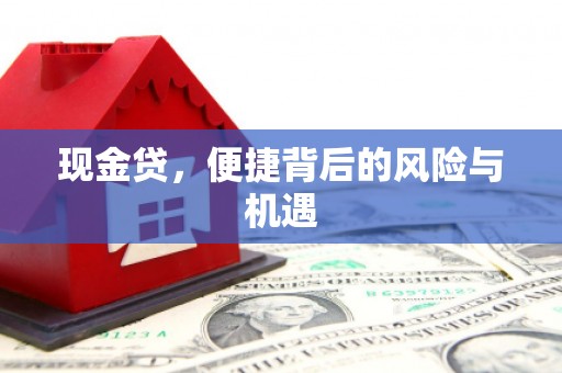 金溪现金贷，便捷背后的风险与机遇