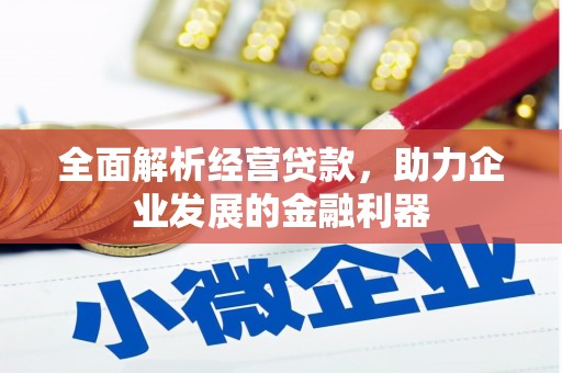 金溪全面解析经营贷款，助力企业发展的金融利器