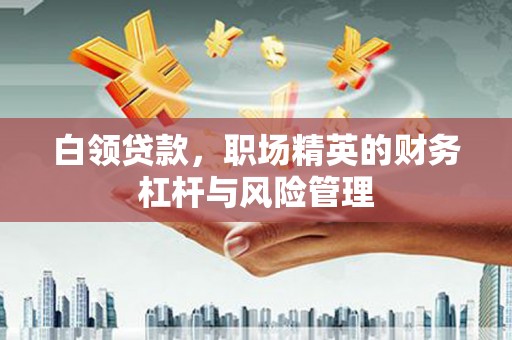 金溪白领贷款，职场精英的财务杠杆与风险管理