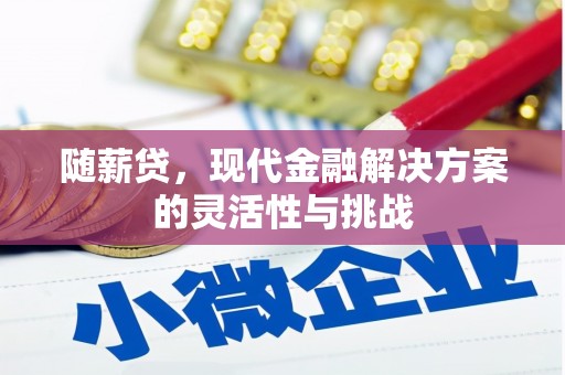 金溪随薪贷，现代金融解决方案的灵活性与挑战