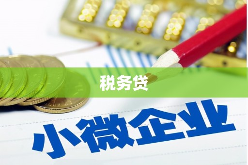 金溪税务贷