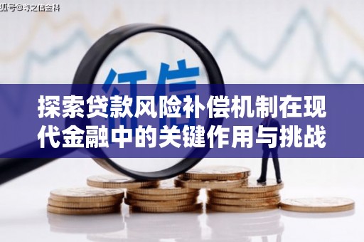 金溪探索贷款风险补偿机制在现代金融中的关键作用与挑战
