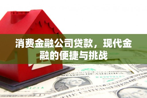金溪消费金融公司贷款，现代金融的便捷与挑战
