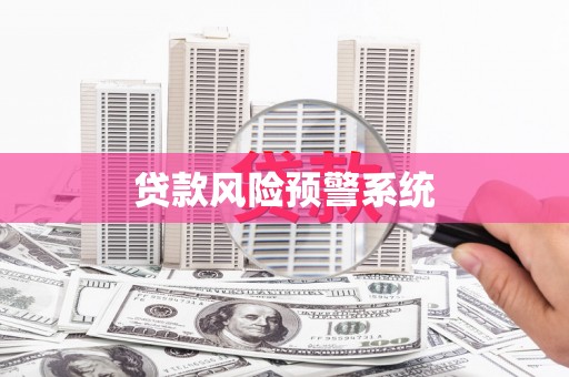 金溪贷款风险预警系统