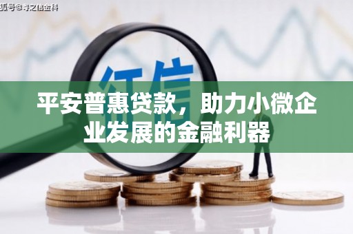 金溪平安普惠贷款，助力小微企业发展的金融利器