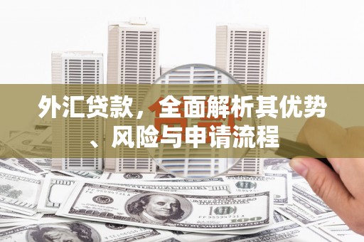金溪外汇贷款，全面解析其优势、风险与申请流程