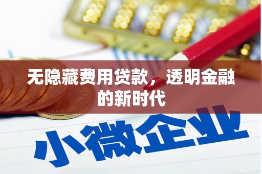 金溪无隐藏费用贷款，透明金融的新时代