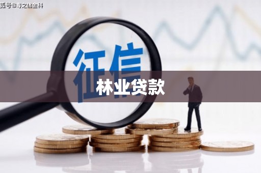金溪林业贷款