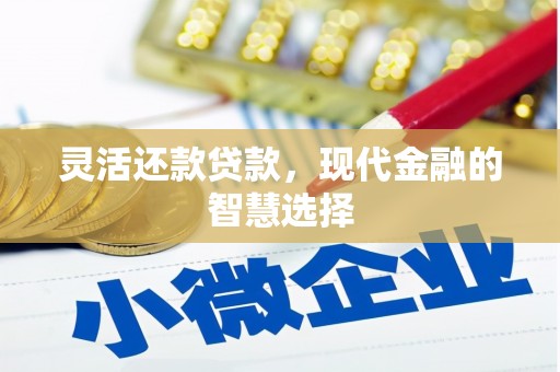 金溪灵活还款贷款，现代金融的智慧选择