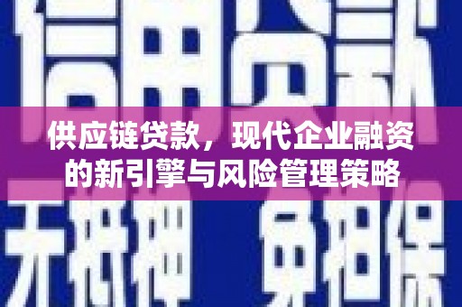 金溪供应链贷款，现代企业融资的新引擎与风险管理策略