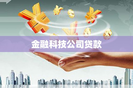 金溪金融科技公司贷款