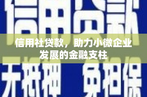 金溪信用社贷款，助力小微企业发展的金融支柱