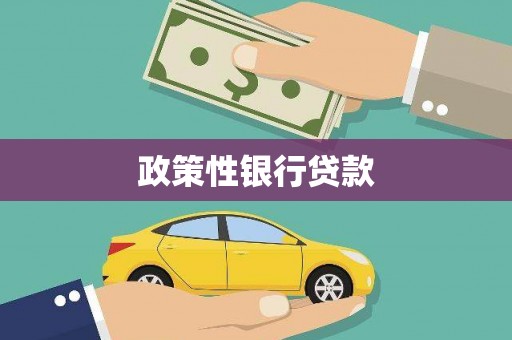 金溪政策性银行贷款