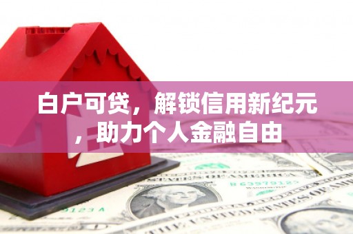 金溪白户可贷，解锁信用新纪元，助力个人金融自由
