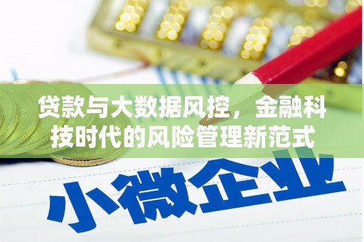 金溪贷款与大数据风控，金融科技时代的风险管理新范式