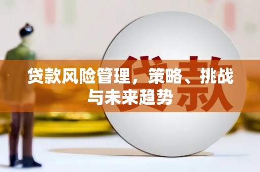 金溪贷款风险管理，策略、挑战与未来趋势