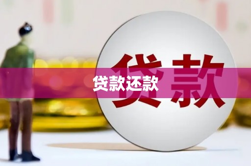 金溪贷款还款
