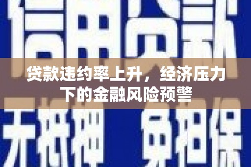 金溪贷款违约率上升，经济压力下的金融风险预警
