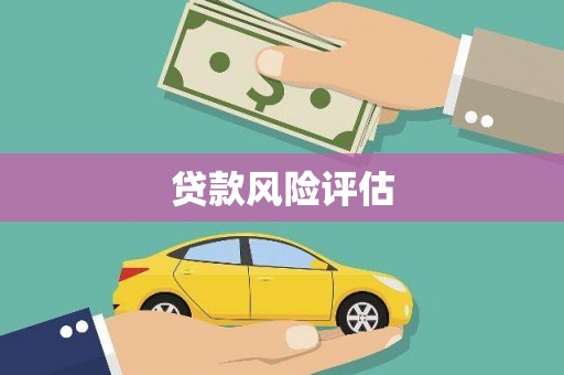 金溪贷款风险评估