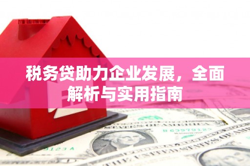 金溪税务贷助力企业发展，全面解析与实用指南