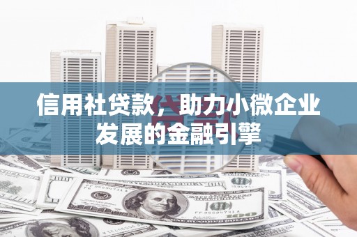 金溪信用社贷款，助力小微企业发展的金融引擎