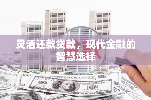 金溪灵活还款贷款，现代金融的智慧选择
