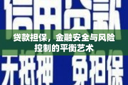 金溪贷款担保，金融安全与风险控制的平衡艺术