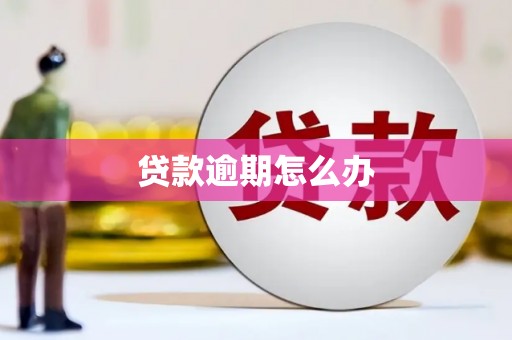 金溪贷款逾期怎么办