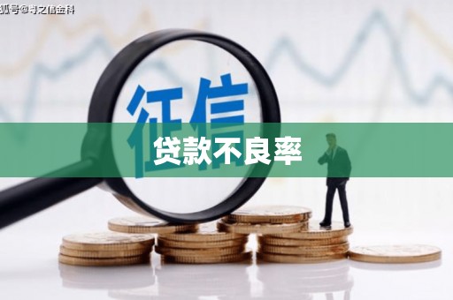 金溪贷款不良率