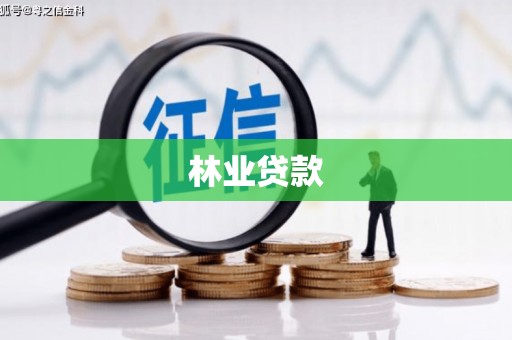 金溪林业贷款