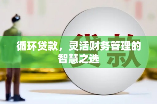 金溪循环贷款，灵活财务管理的智慧之选