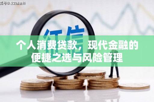 金溪个人消费贷款，现代金融的便捷之选与风险管理