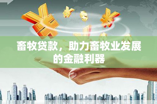 金溪畜牧贷款，助力畜牧业发展的金融利器