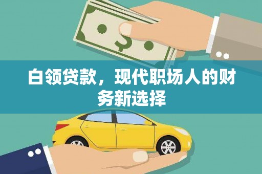 金溪白领贷款，现代职场人的财务新选择