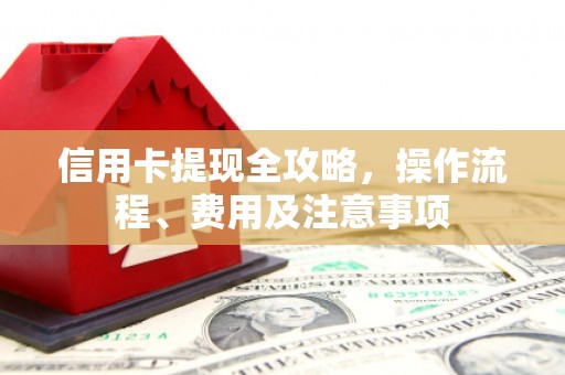 金溪信用卡提现全攻略，操作流程、费用及注意事项