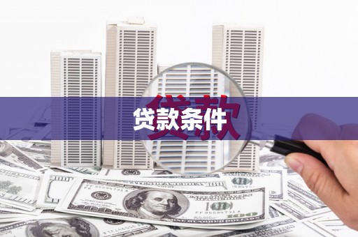 金溪贷款条件