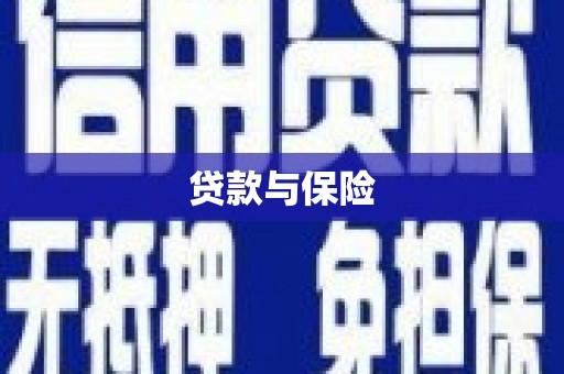 金溪贷款与保险