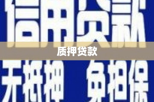 金溪质押贷款