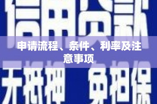 金溪申请流程、条件、利率及注意事项