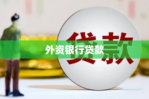 金溪外资银行贷款