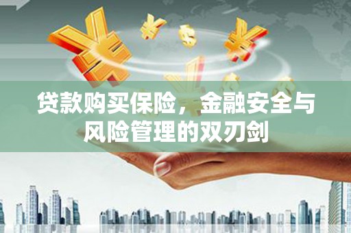 金溪贷款购买保险，金融安全与风险管理的双刃剑