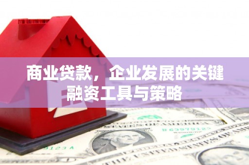 金溪商业贷款，企业发展的关键融资工具与策略