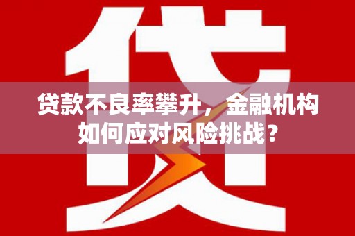 金溪贷款不良率攀升，金融机构如何应对风险挑战？